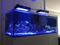 redsea Reefer 525 XL £ 1250