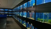 MERSEYSIDE AQUATIC WAREHOUSE - availability list