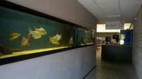 MERSEYSIDE AQUATIC WAREHOUSE - availability list