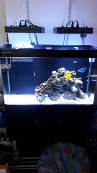 complete marine setup