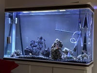 300 Litre Aquarium £350ono