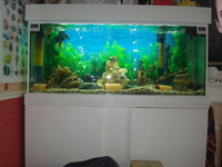 NO OFFERS/NOW ONLY £550 BARGAIN/LARGE BESPOKE AQUARIUM IN WHITE,4FT 6 inches LONG X 2FT HIGH X 20 inches DEPTH.