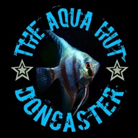 The Aqua Hut - Doncaster: Current Stocklist