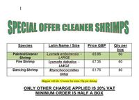 Marine fish and Corals direct from the Importer