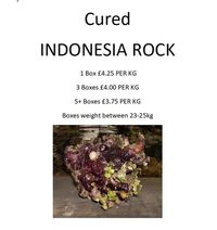 Marine fish and Corals direct from the Importer