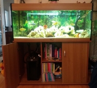 4ft aqua one tank with stand Malawi complete set up