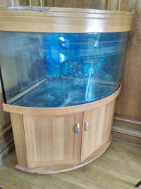 Large selection of Tropical fish equipment and Fish for Sale