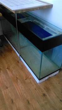 Large selection of Tropical fish equipment and Fish for Sale