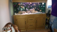 Complete sale of tank and assorted malawi