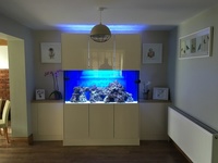 5 foot marine tank