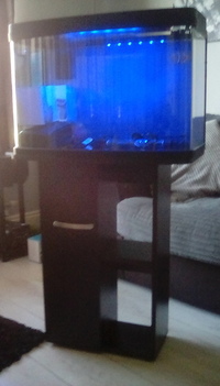 Interpet 64lt r aquarium with stand as new only £90,collection only