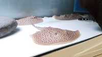 Top Stingrays UK