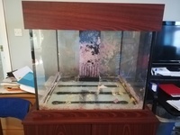 Selling Fantastic 450l Marine Tank - £180
