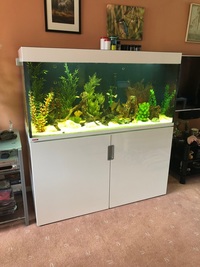 Eheim Incpiria 400L Freshwater Aquarium & Equipment
