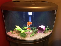 AquaOne UFO 700 corner Aquarium. £100.00