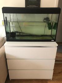fluval fish tank/ NO STAND