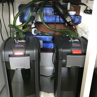Reef Livestock in Tropical Marine Setup
