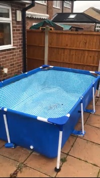 Full tropical pond set up with fish