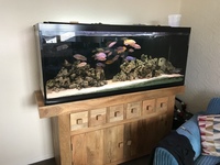 Beautiful 60x24x18. £500. Price to sell this weekend