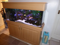 4 foot aquarium, stand and hood in oak veneer