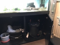 72x18x18 full set up. £350 if gone this week