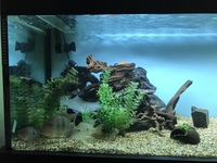 72x18x18 full set up. £350 if gone this week