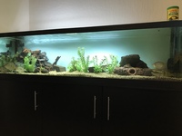 72x18x18 full set up. £350 if gone this week