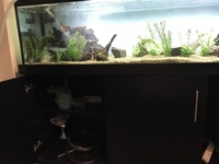 72x18x18 full set up. £350 if gone this week
