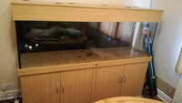 ND Aquatics 6ft tank for sale