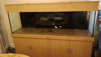 ND Aquatics 6ft tank for sale