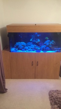 Marine Aquarium