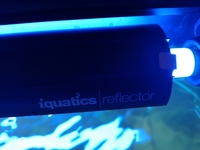 Juwel Vision 260 with new hood fixtures and lighting.