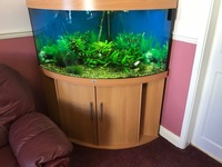 JUWEL TRIGON 350 LTR AQUARIUM ON MATCHING STAND IN LIGHT WOOD ONLY £550, (SECOND HAND )