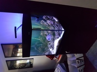 Aqua reef marine tank