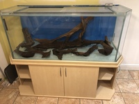5x2x2 tank, stand, loads of bogwood, and other accessories