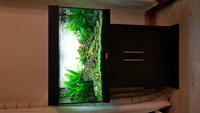 Juwel Rio 125 black with Cabinet