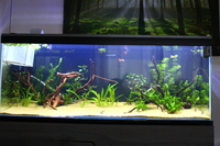 4ft AQUARIUM - Excellent condition - optional extras