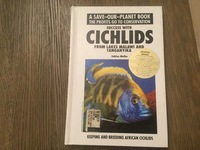 Success with Cichlids from Lake Malawi and Tanganyika