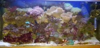 Total marine set up