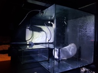Redsea 170 E max with hydra 26 led and sump upgrad £450
