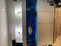 7x2x2 marine high gloss tank for sale
