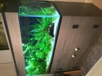4ft AQUARIUM - Excellent condition - optional extras
