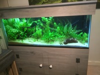 4ft AQUARIUM - Excellent condition - optional extras