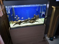 275 litre tank