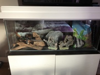 4 foot tank, cabinet and equipment
