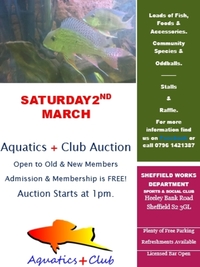 Aquatics + Club