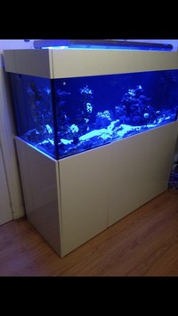5x2x2 Nd tank, steel stand