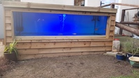 LARGE FISH REQUIRED CASH /DONATE -TANK FOR LIFE