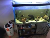 Tank only for sale