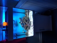 Juwel lido 120 marine aquarium